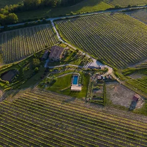 Follonico 4-Suite B&B Torrita di Siena